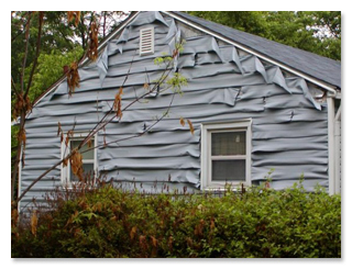 The 6 Most Insane Ways Going Green Can Backfire Cracked Com