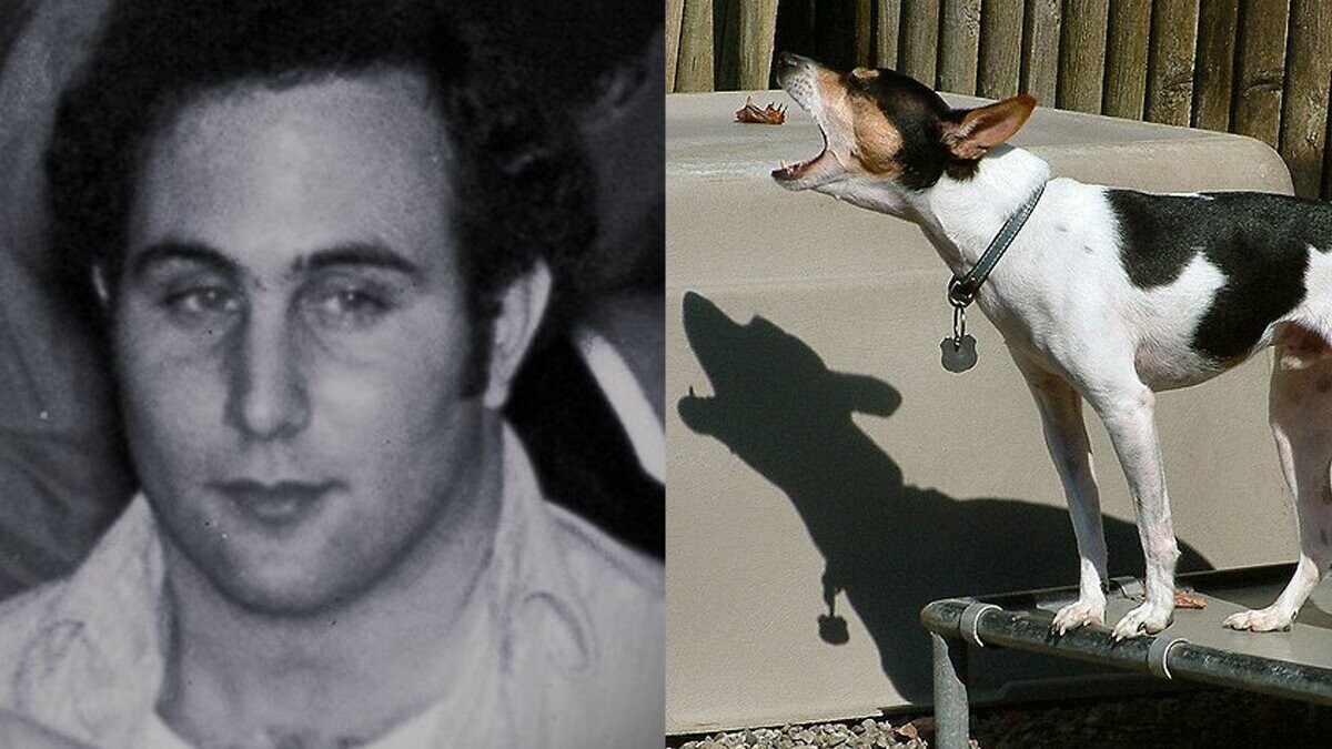 5 Shocking Stories About Notorious Criminals That Were Hoaxes | Cracked.com