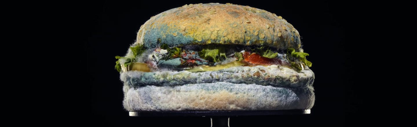Burger King Is Embracing Mold Now