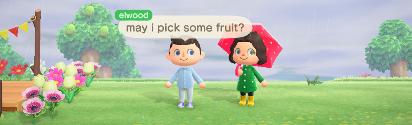 elwood may i pick some fruit? 