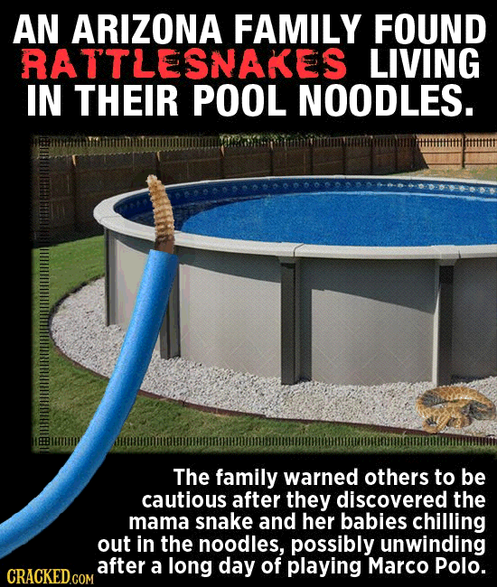 Insanely Weird Things Going On Right Now (Check Your Pool)