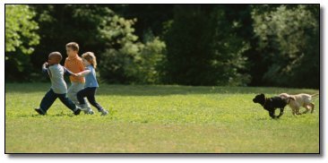 5 Things The Media Loves Pretending Are News