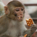 Cracked Round-Up: Jingling Bells Of Madness Edition