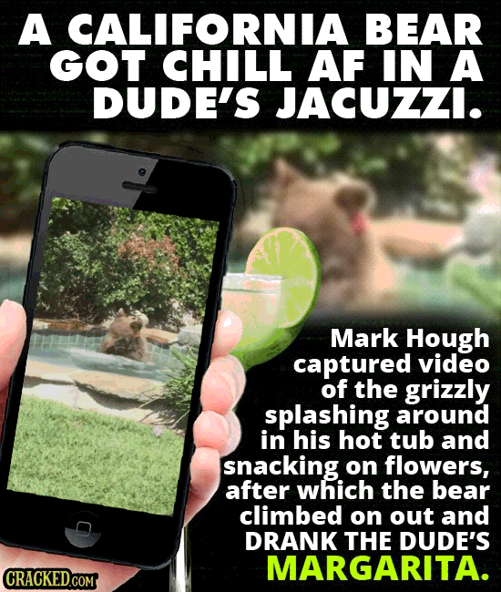 Insanely Weird Things Going On Right Now (Check Your Pool)