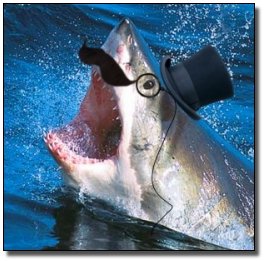 6 Movie Plots Made Possible by Bafflingly Bad Decisions