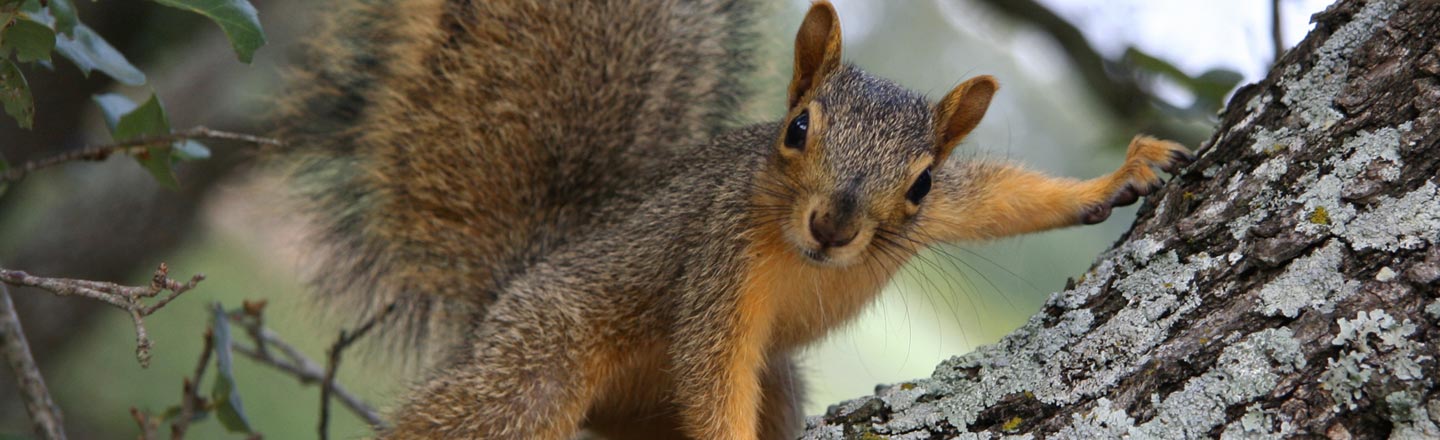 5 Horrors of Nature Happening In Your Backyard (Right Now)
