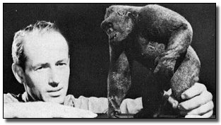 6 Movie Plots Made Possible by Bafflingly Bad Decisions