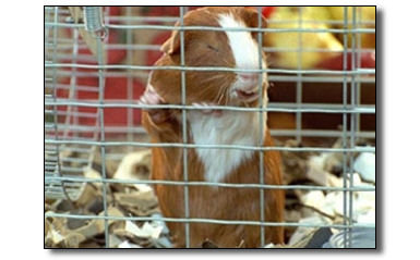 5 Creepy Ways Video Games Are Trying to Get You Addicted