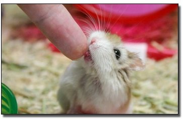 6 Movie Plots Made Possible by Bafflingly Bad Decisions