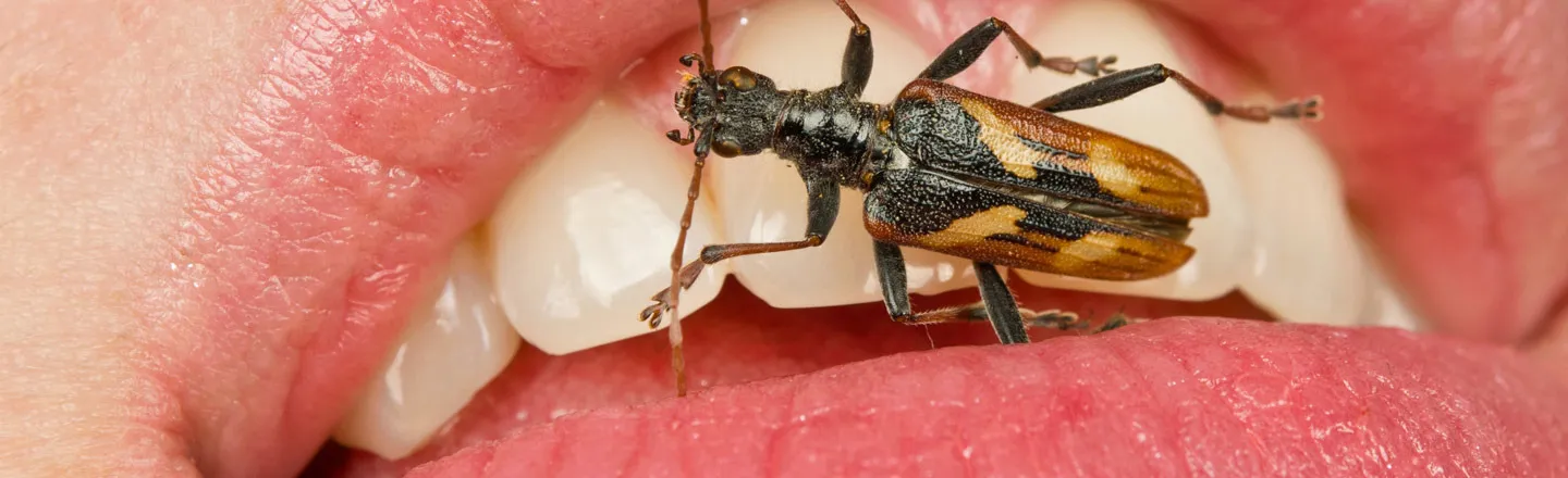 5 Horrifying Insects That Can Sneak-Attack Your Body