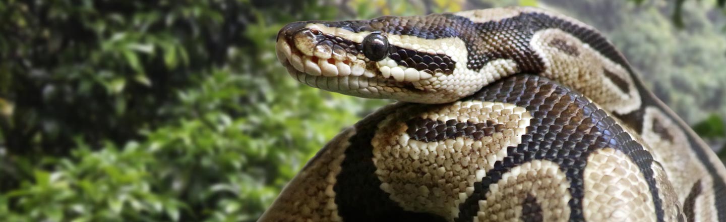 The 6 Creepiest Stories Of 2017 (You Totally Missed)