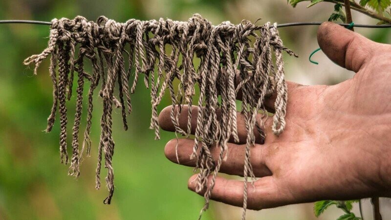 5 Amazing Non-Verbal Languages People Actually Use