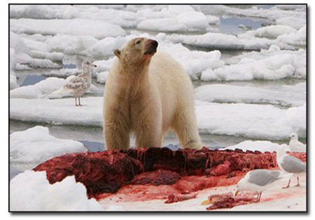 The 6 Most Half Assed Attempts at Corporate Green Washing