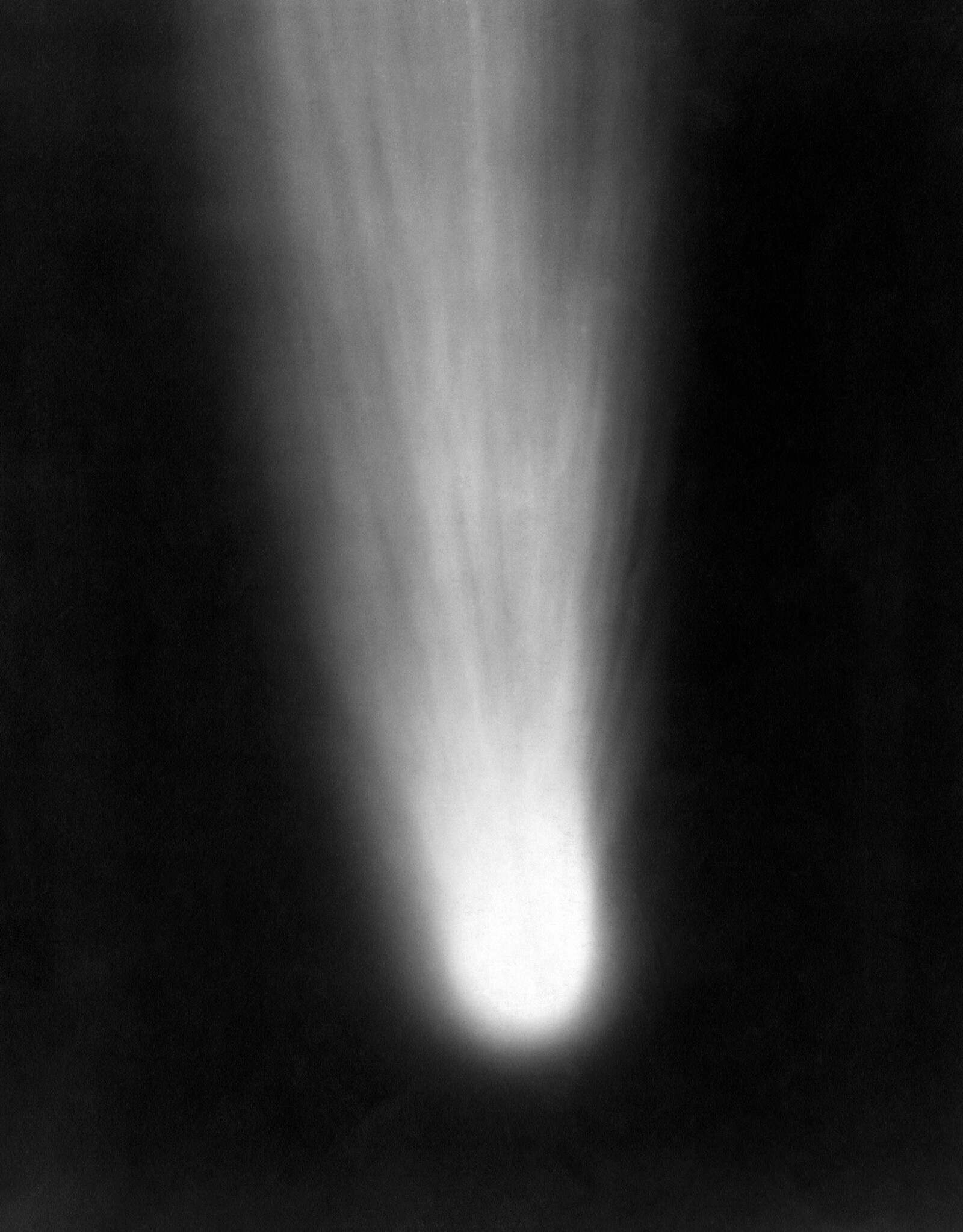 Halley's Comet