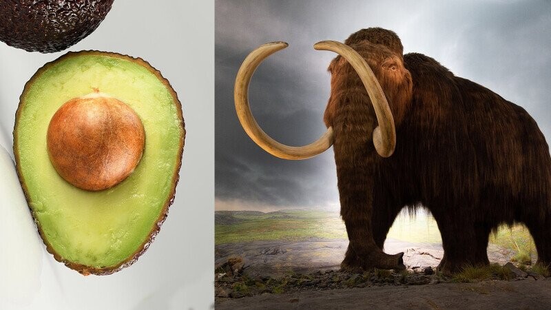 5 Secrets Of Everyday Foods That Go Back Thousands Of Years