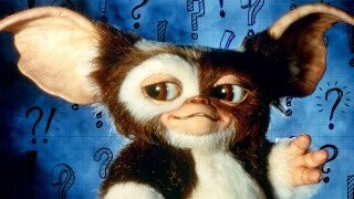 Sexual Anxiety? Racism? The Vietnam War? No One Knows What ‘Gremlins’ Is a Metaphor For
