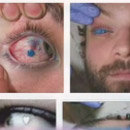 CRACKED ROUND-UP: Difficult Lessons Edition