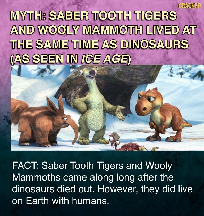 CRACKED MYTH: SABER TOOTH TIGERS AND WOOLY MAMMOTH LIVED AT THE SAME TIME AS DINOSAURS (AS SEEN IN ICE AGE) FACT: Saber Tooth Tigers and Wooly Mammoths came along long after the dinosaurs died out. However, they did live on Earth with humans.