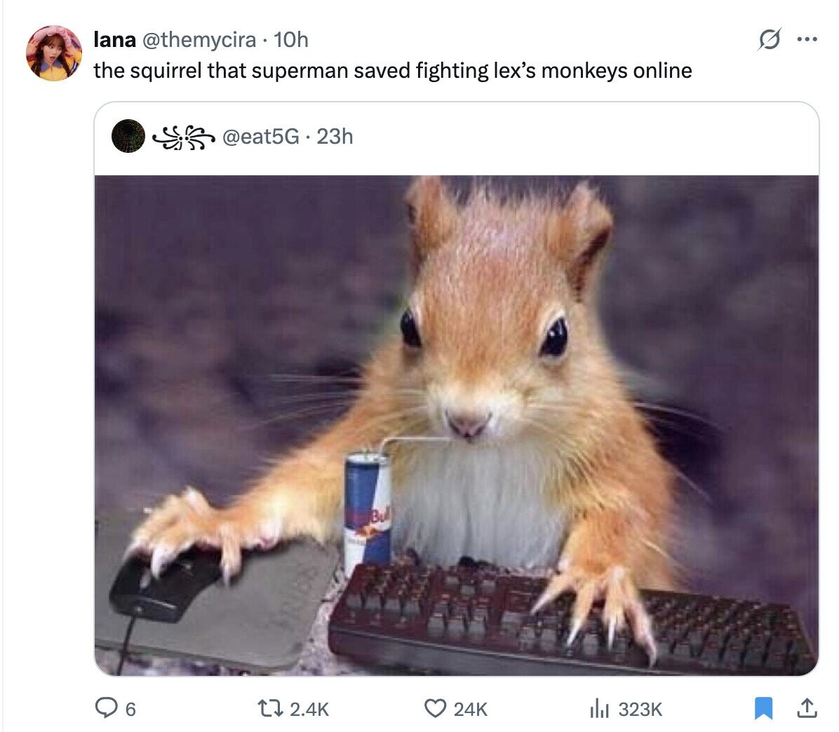 lana @themycira 10h ... the squirrel that superman saved fighting lex's monkeys online @eat5G.23h Bul 6 2.4K 24K 323K