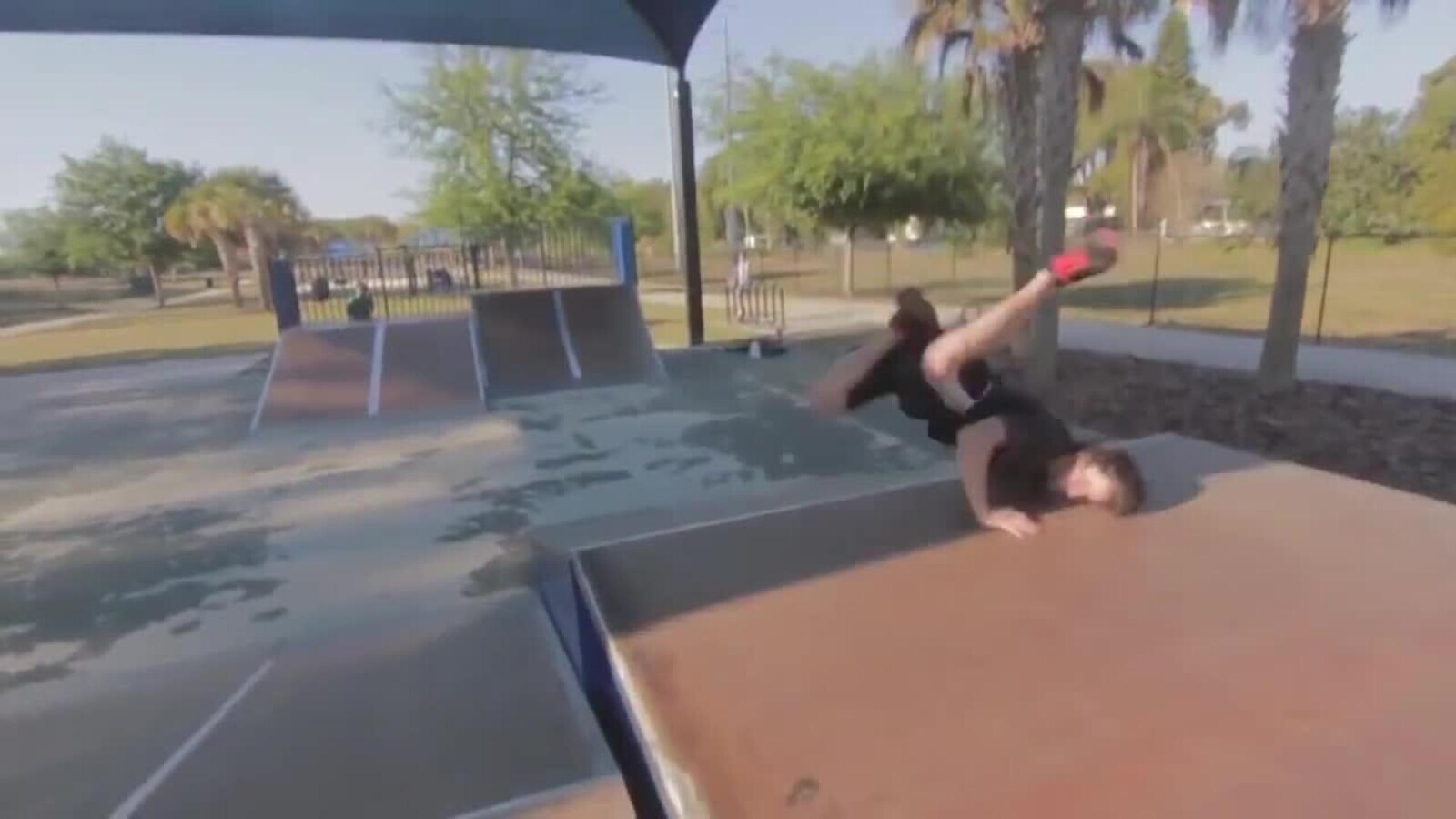 Photos Where Everyone is All Brawn and No Brains