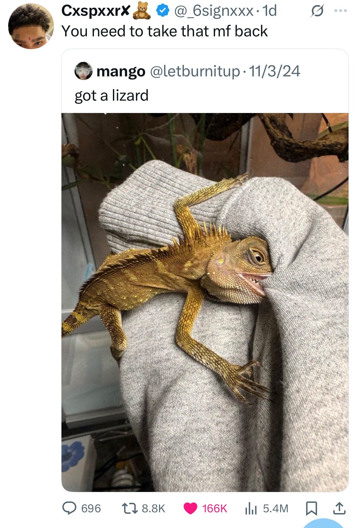 @_6signxxx·· 1d s ... CxspxxrX You need to take that mf back mango @letburnitup • 11/3/24 got a lizard 696 8.8K 166K 5.4M