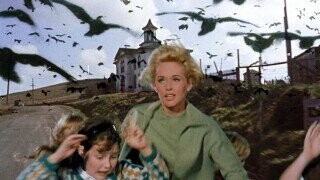 27 Directors Who Took Things to Wildly Unethical Heights to Get the Shot