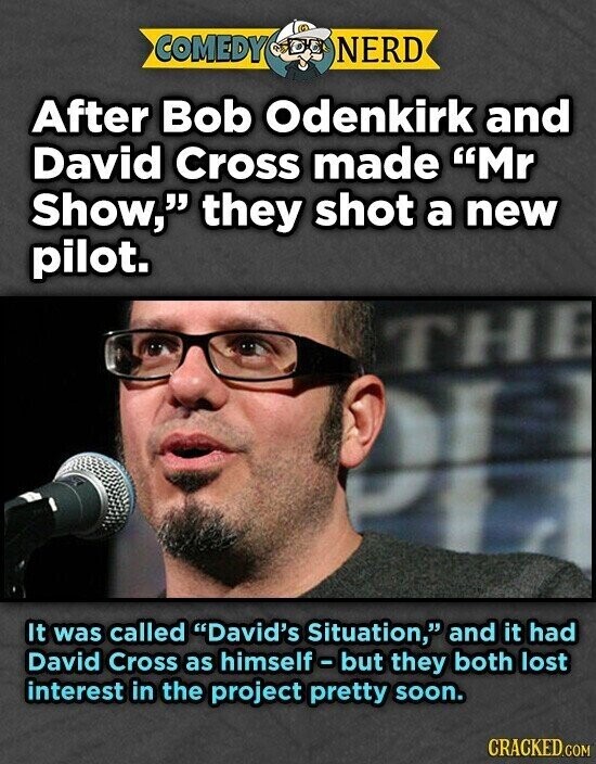COMEDY NERD After Bob Odenkirk and David Cross made Mr Show, they shot a new pilot. THE It was called David's Situation, and it had David Cross as himself - but they both lost interest in the project pretty soon. CRACKED.COM