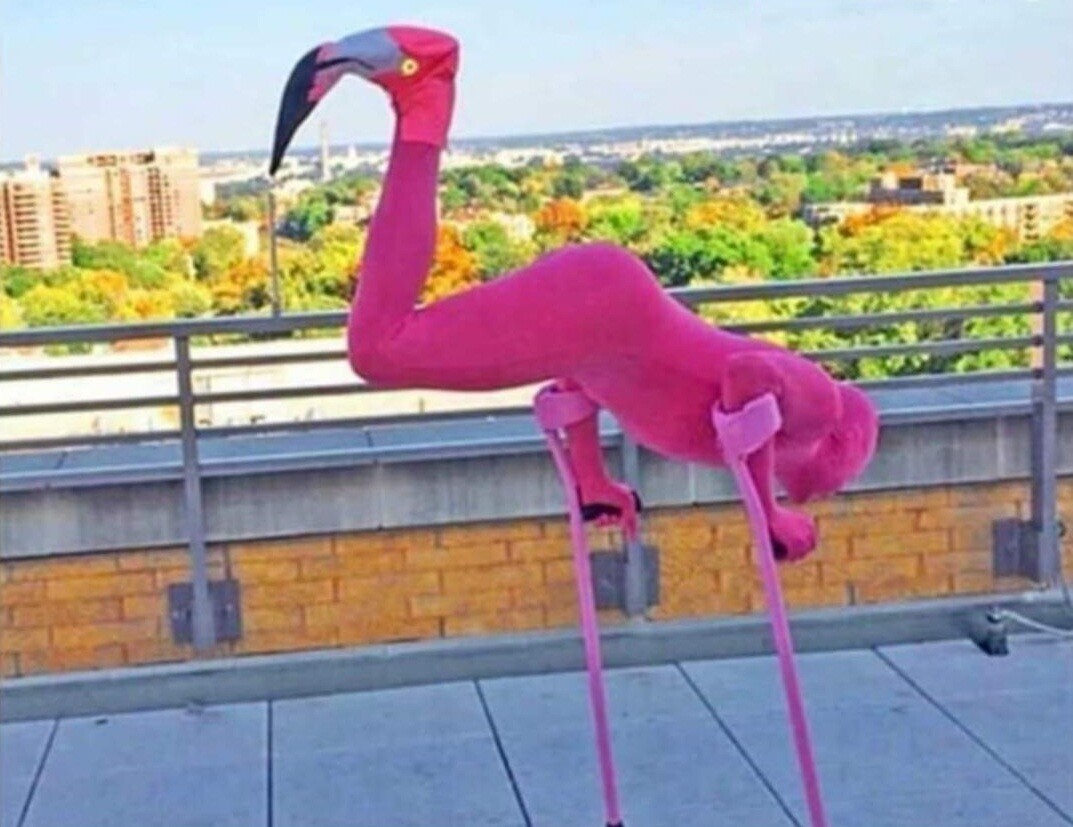 Tk Photos That Look Normal Until You Zoom In