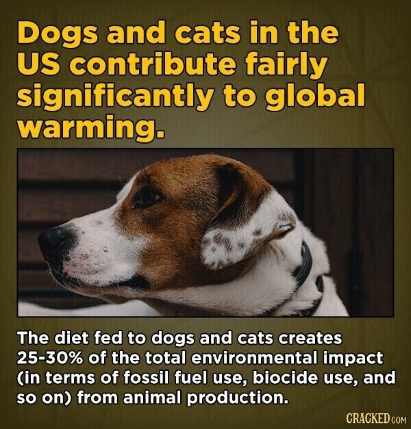 Dogs and cats in the US contribute fairly significantly to global warming. The diet fed to dogs and cats creates 25-30% of the total environmental impact (in terms of fossil fuel use, biocide use, and so on) from animal production. CRACKED.COM