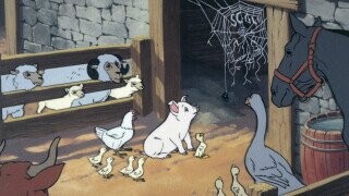 32 Random Bits of Trivia That Don’t Realize They’re Giving the Gen Z Stare