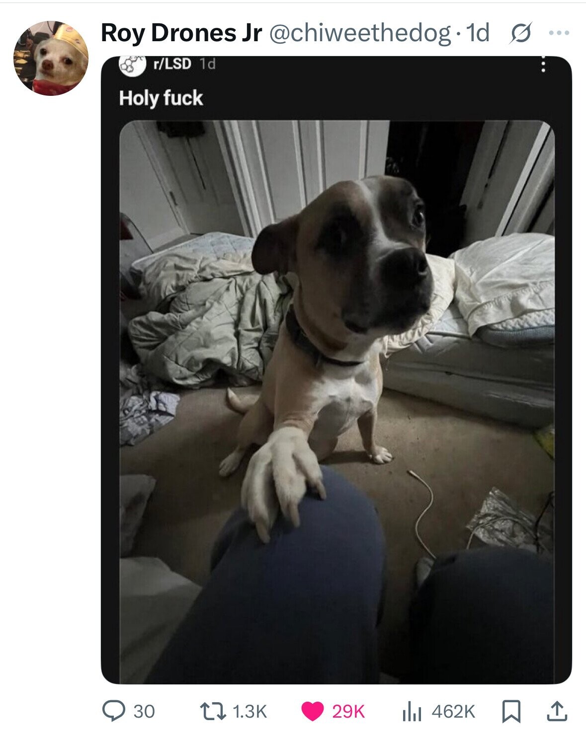 Roy Drones Jr @chiweethedog. dd s ... r/LSD 1d Holy fuck 30 1.3K 29K 462K 