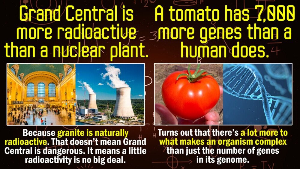 14 True Facts That Sound Like Total Nonsense