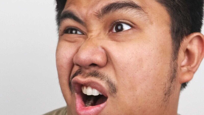 12 Farm-Fresh Trivia Tidbits for Thursday, February 20, 2025