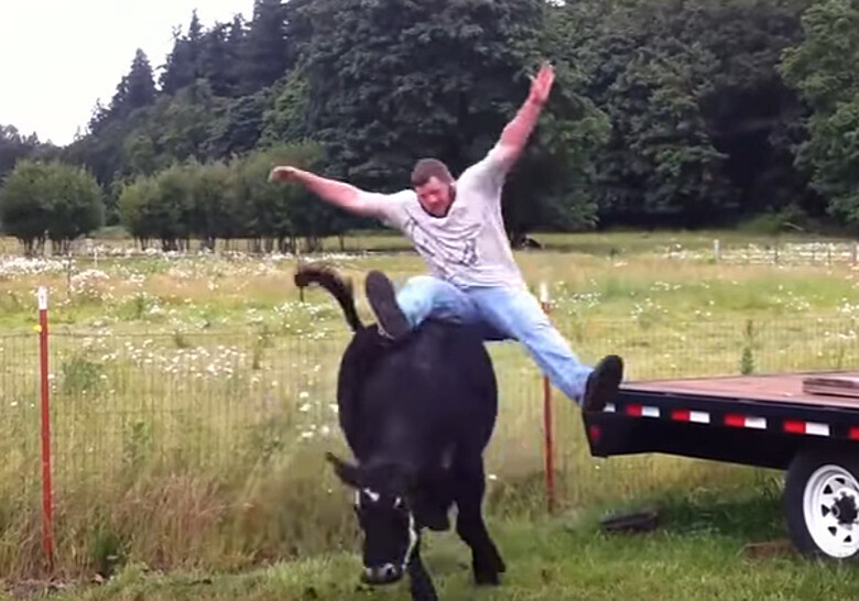 Photos Where Everyone is All Brawn and No Brains