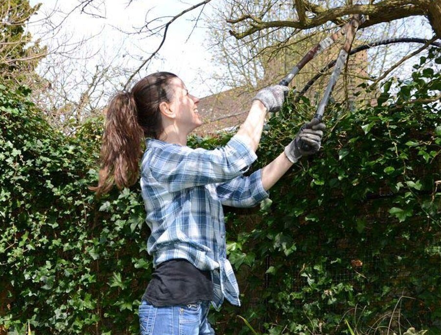 What 15 'Weird Neighbors' Did to Earn Their Title