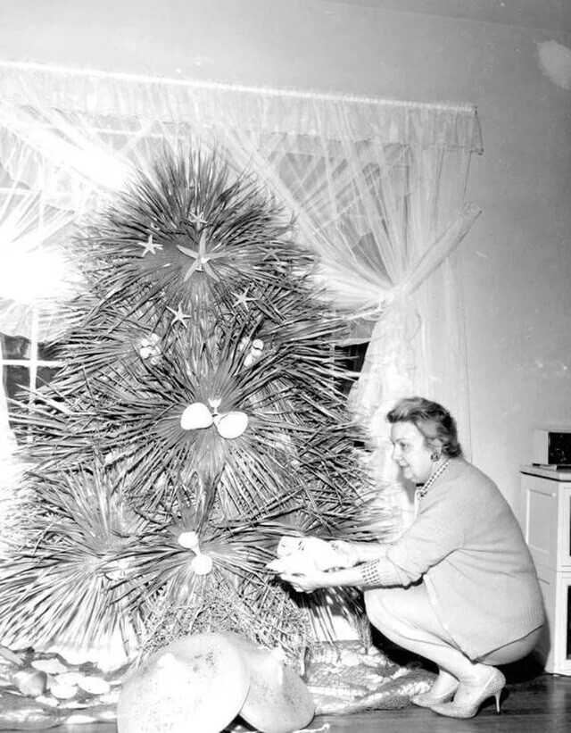 Tk Christmas Photos Looking Like the Grinch Runs It