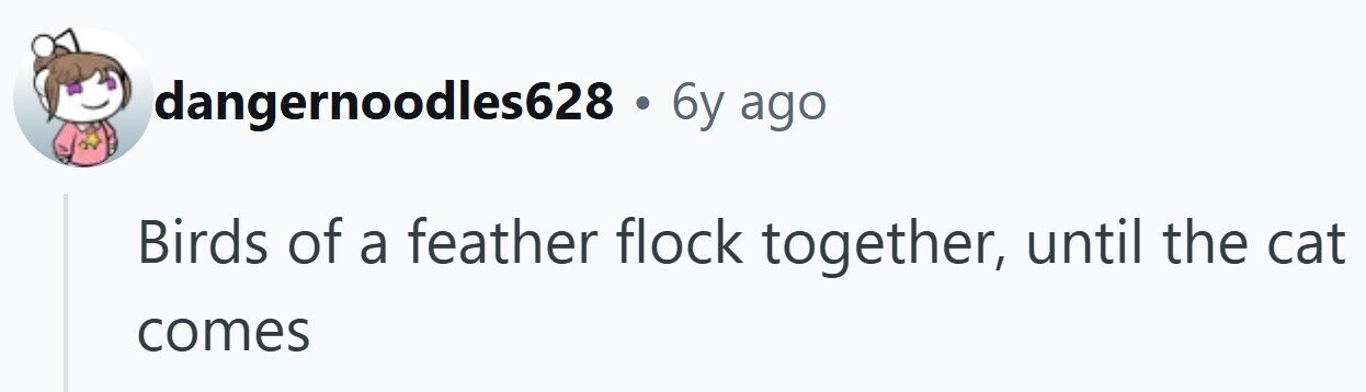 dangernoodles628 . 6y ago Birds of a feather flock together, until the cat comes