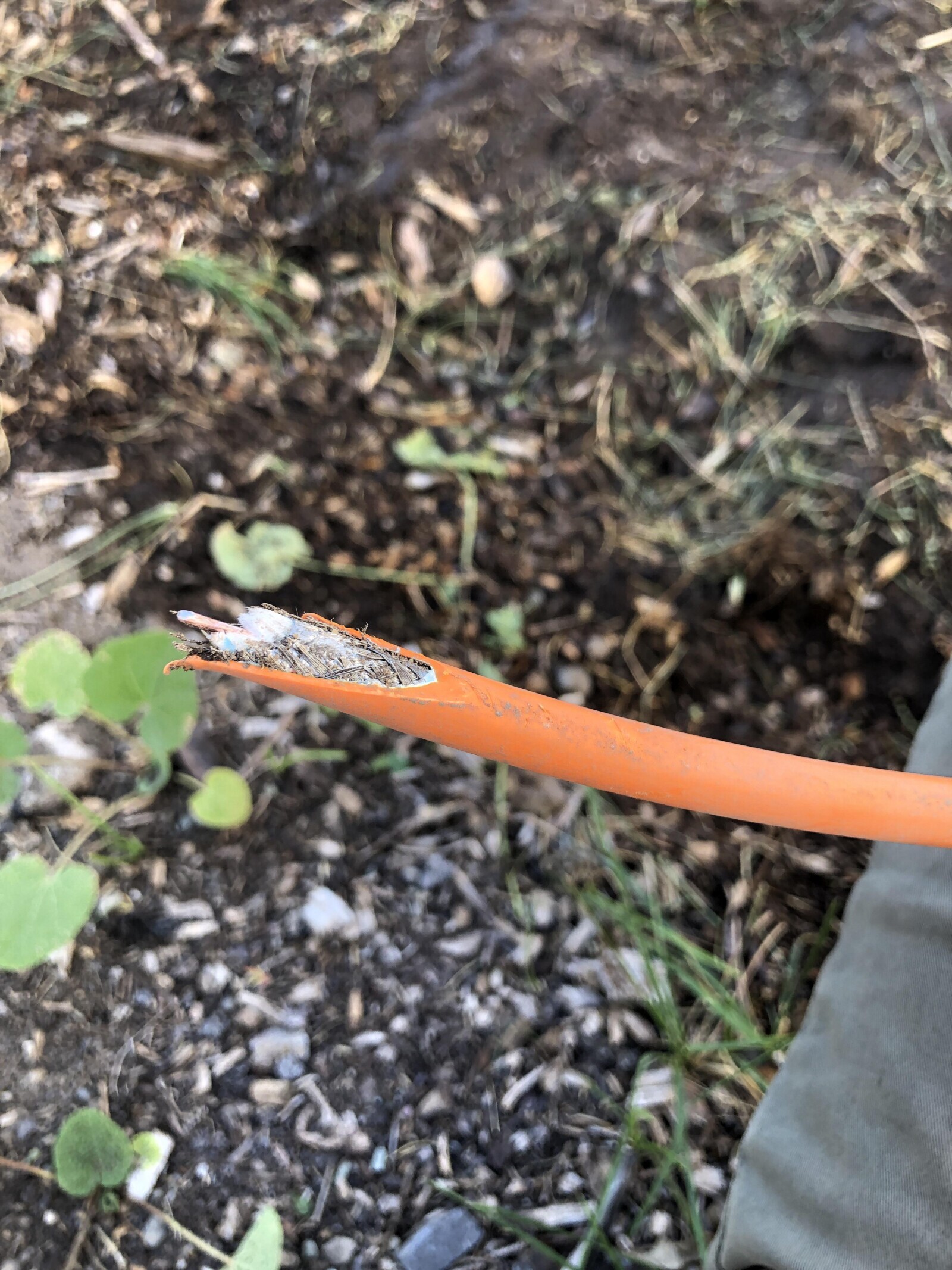 What 15 'Weird Neighbors' Did to Earn Their Title