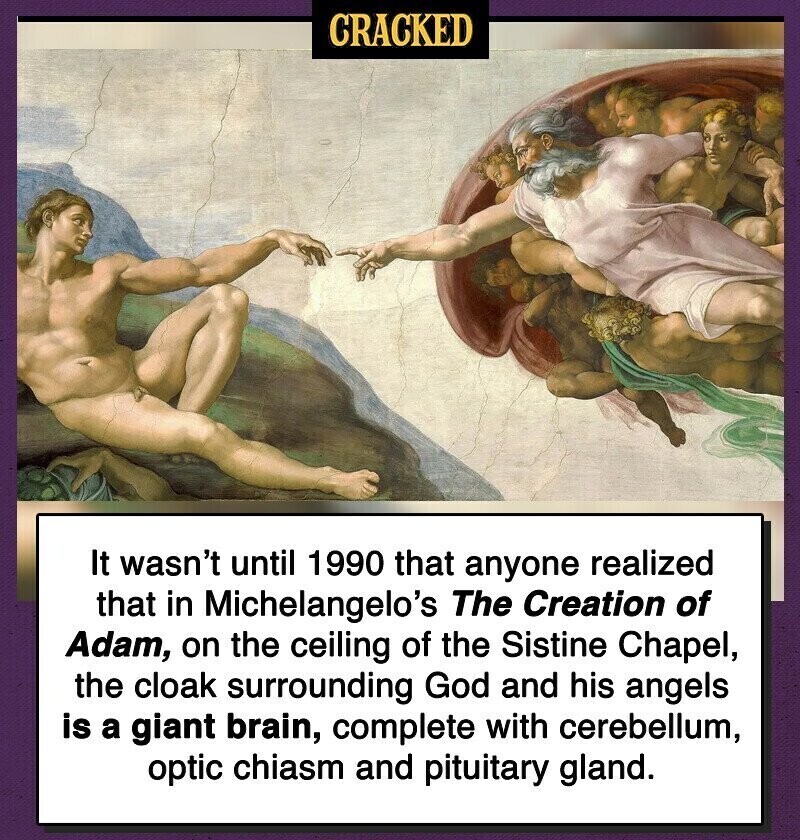 CRACKED It wasn't until 1990 that anyone realized that in Michelangelo's The Creation of Adam, on the ceiling of the Sistine Chapel, the cloak surrounding God and his angels is a giant brain, complete with cerebellum, optic chiasm and pituitary gland.