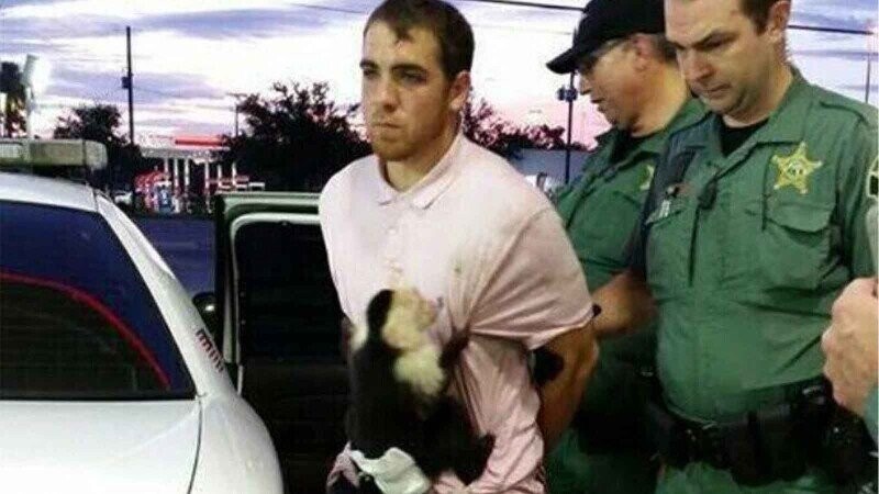 Photos Where "Florida Men" Lived Up to the Reputation