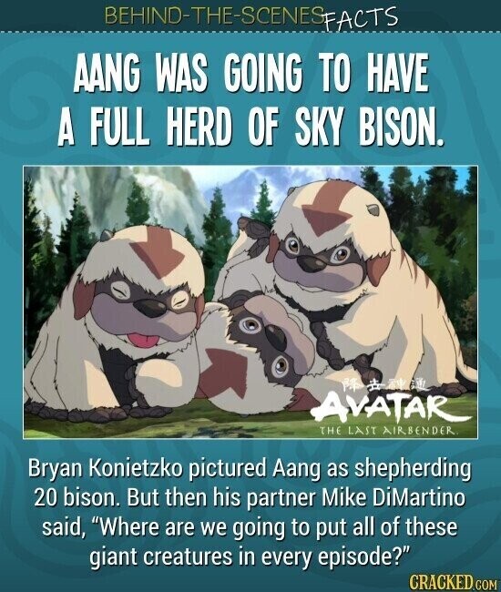 BEHIND-THE-SCENES FACTS AANG WAS GOING TO HAVE A FULL HERD OF SKY BISON. the AVATAR THE LAST AIRBENDER Bryan Konietzko pictured Aang as shepherding 20 bison. But then his partner Mike DiMartino said, Where are we going to put all of these giant creatures in every episode? CRACKED.COM