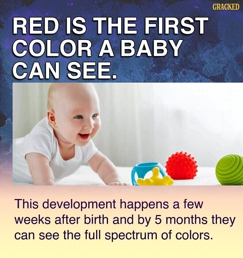 CRACKED RED IS THE FIRST COLOR A BABY CAN SEE. This development happens a few weeks after birth and by 5 months they can see the full spectrum of colors.