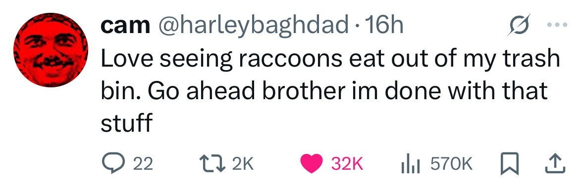 cam @harleybaghdad . 16h Love seeing raccoons eat out of my trash bin. Go ahead brother im done with that stuff 22 2K 32K 570K 