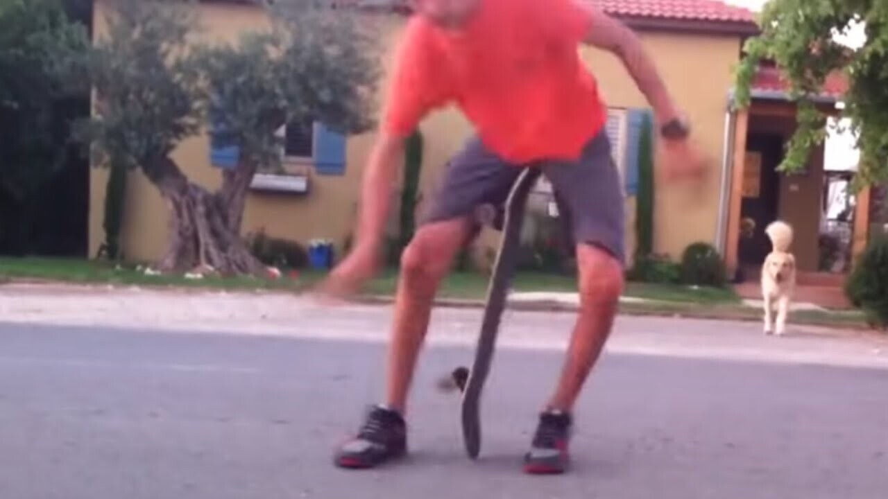 Photos Where Everyone is All Brawn and No Brains