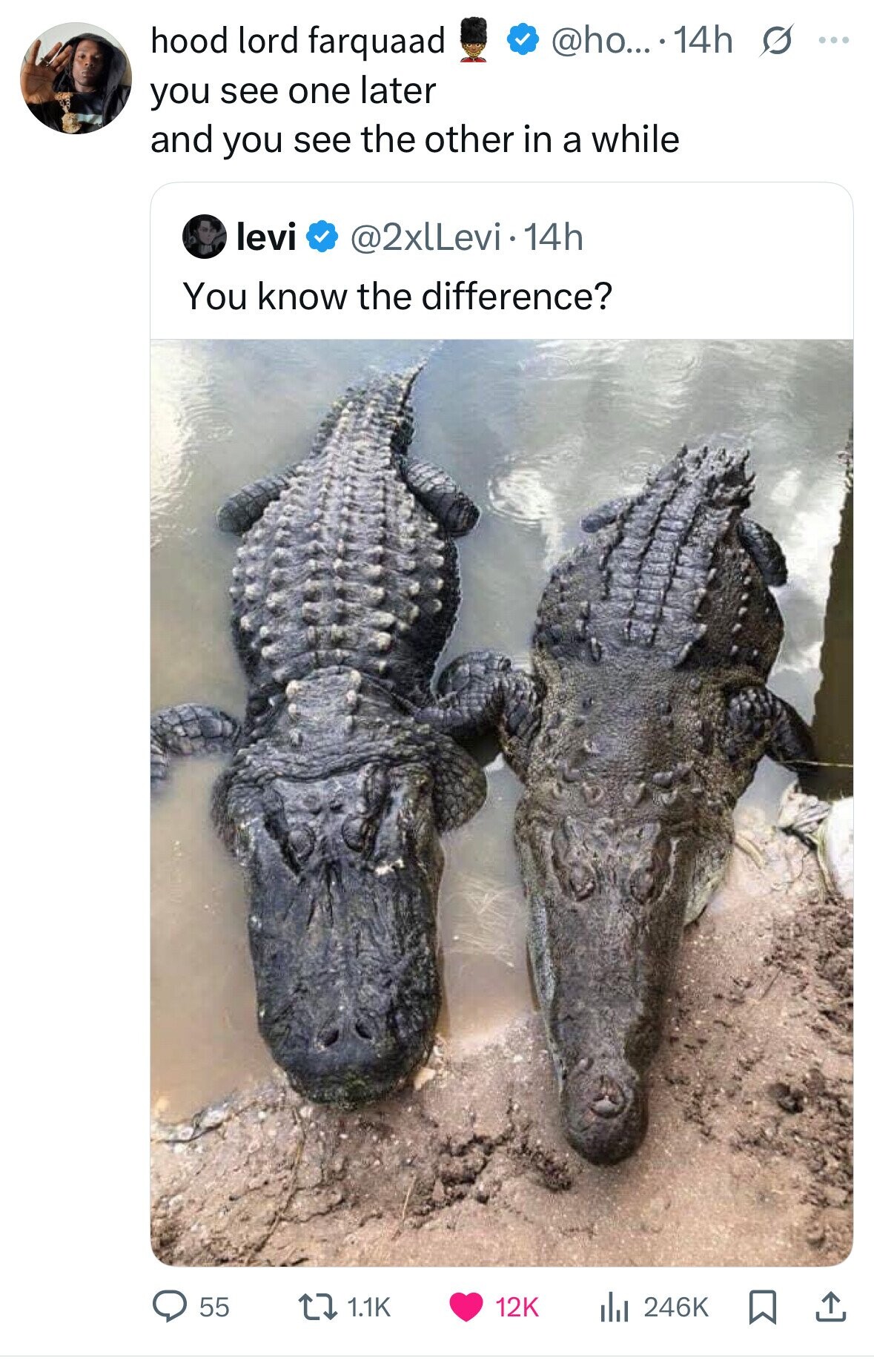 @ho... .14h s ... hood lord farquaad you see one later and you see the other in a while levi @2xlLevi.14h You know the difference? 55 1.1K 12K 246K