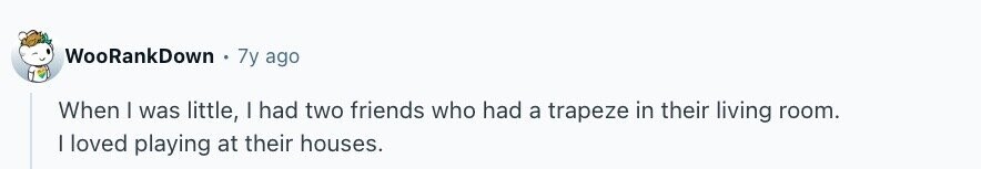 WooRankDown 7y ago When I was little, I had two friends who had a trapeze in their living room. I loved playing at their houses.