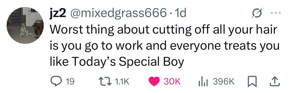jz2 @mixedgrass666.1d Worst thing about cutting off all your hair is you go to work and everyone treats you like Today's Special Boy 19 1.1K 30K 396K 