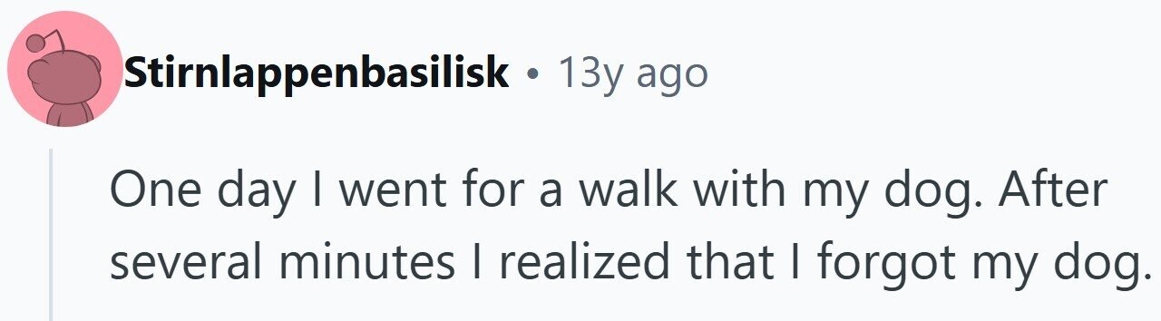 Stirnlappenbasilisk • . 13y ago One day I went for a walk with my dog. After several minutes I realized that I forgot my dog.