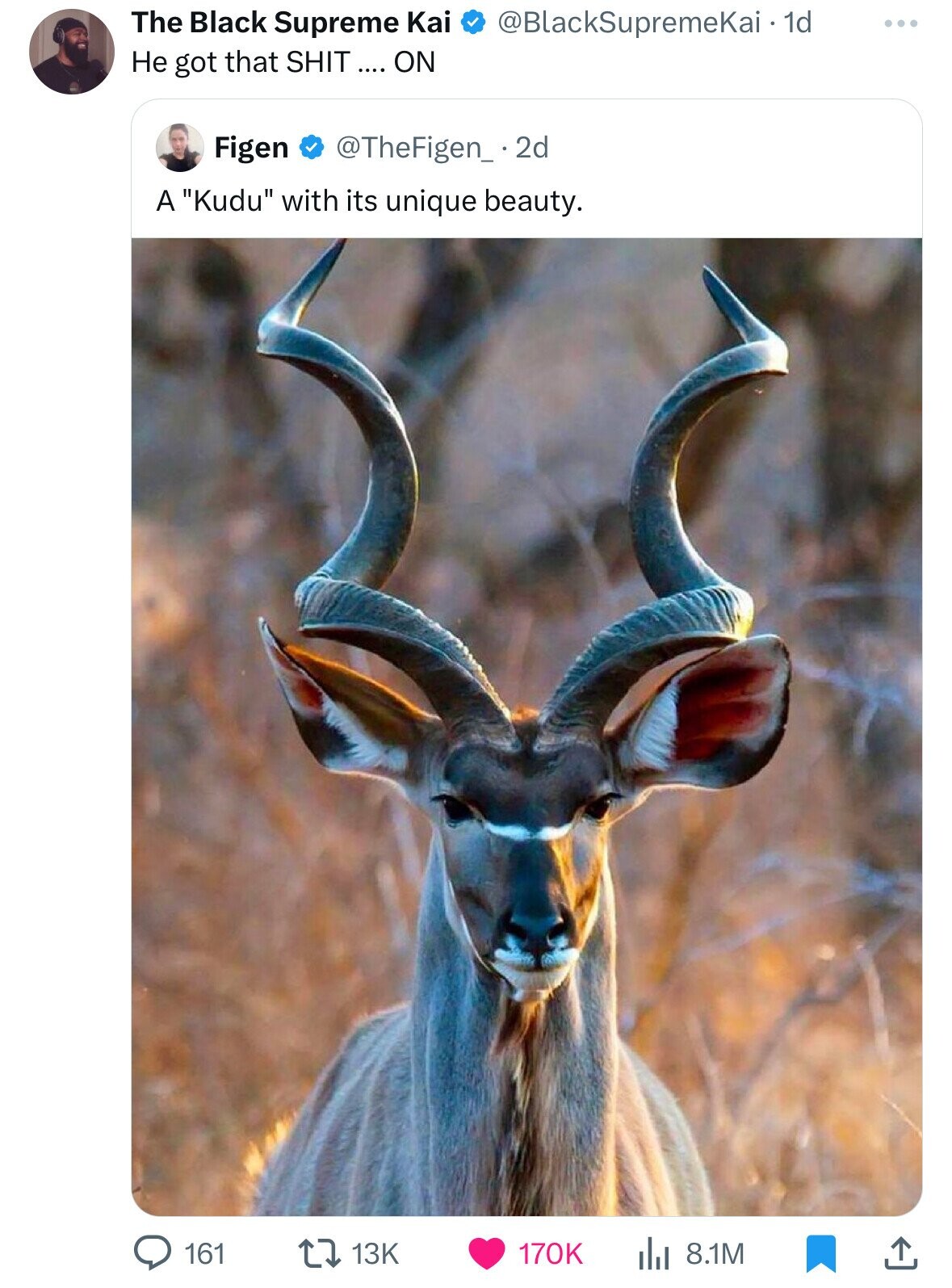 The Black Supreme Kai @BlackSupremeKai. 1d ... Не got that SHIT ON Figen @TheFigen_ .2d A Kudu with its unique beauty. 161 13K 170K 8.1M