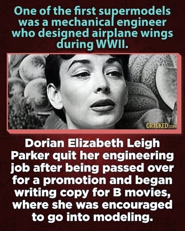 One of the first supermodels was a mechanical engineer who designed airplane wings during WWII. CRACKED.COM Dorian Elizabeth Leigh Parker quit her engineering job after being passed over for a promotion and began writing copy for в movies, where she was encouraged to go into modeling.